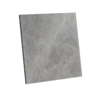 Ceasorstone Dark Grey - Sample