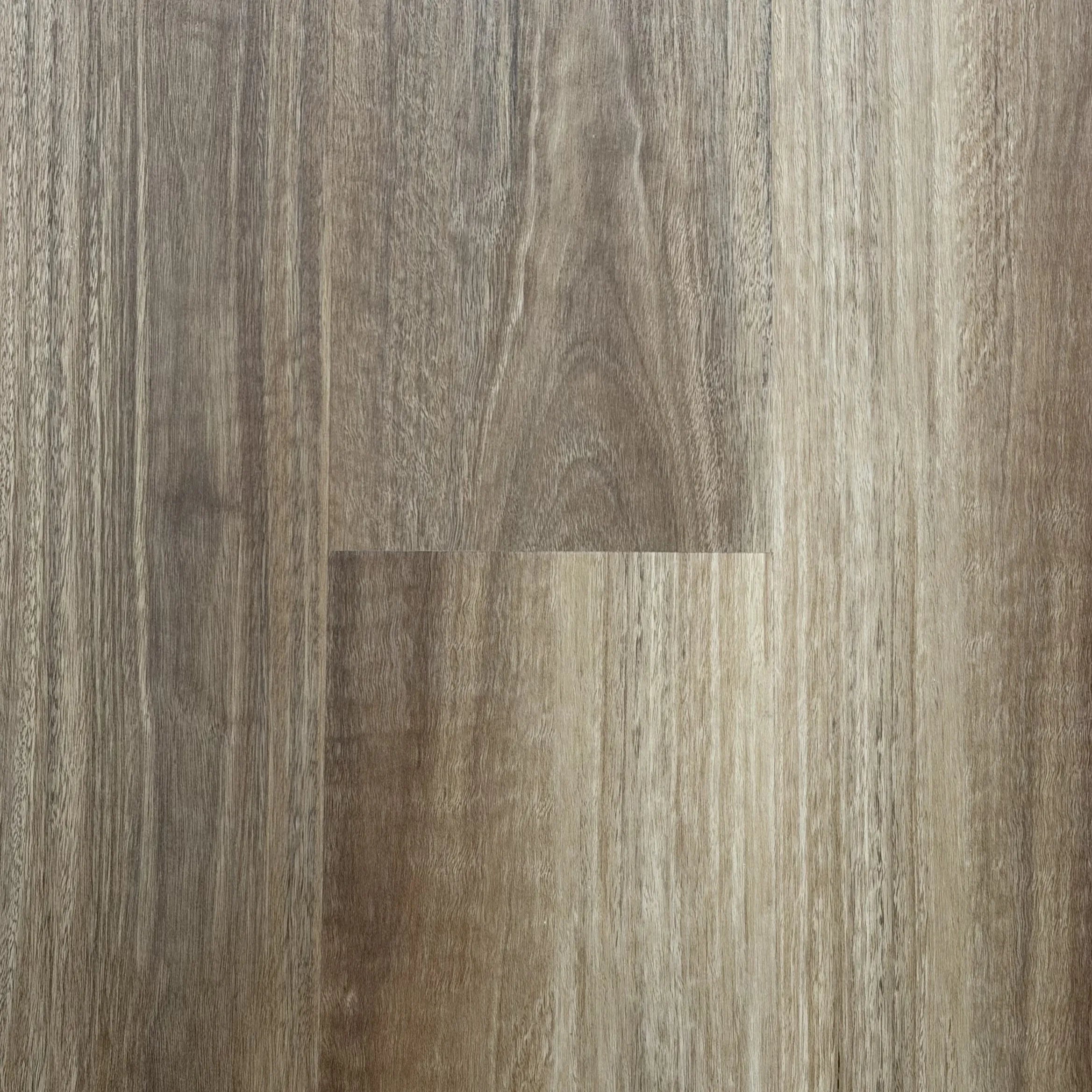 NSW Spotted Gum 9101