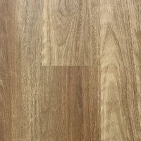 Native Spotted Gum 9107
