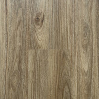 Qld Spotted Gum 7106